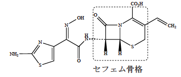 解説画像